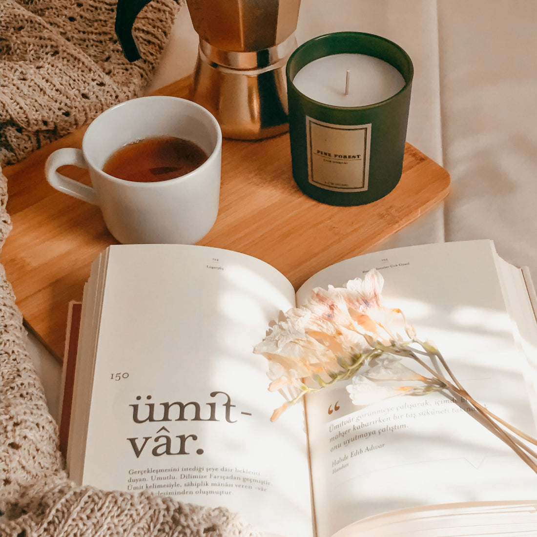 Ultimate Reading Journal Bundle