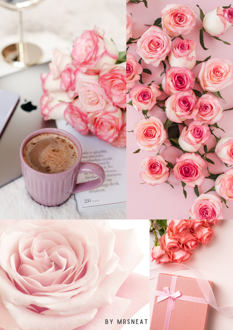 Pink Blush Dashboard Digital Planner Printable