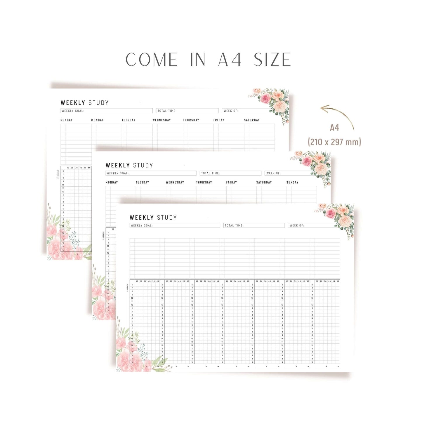 Weekly Study Tracker A4 PDF