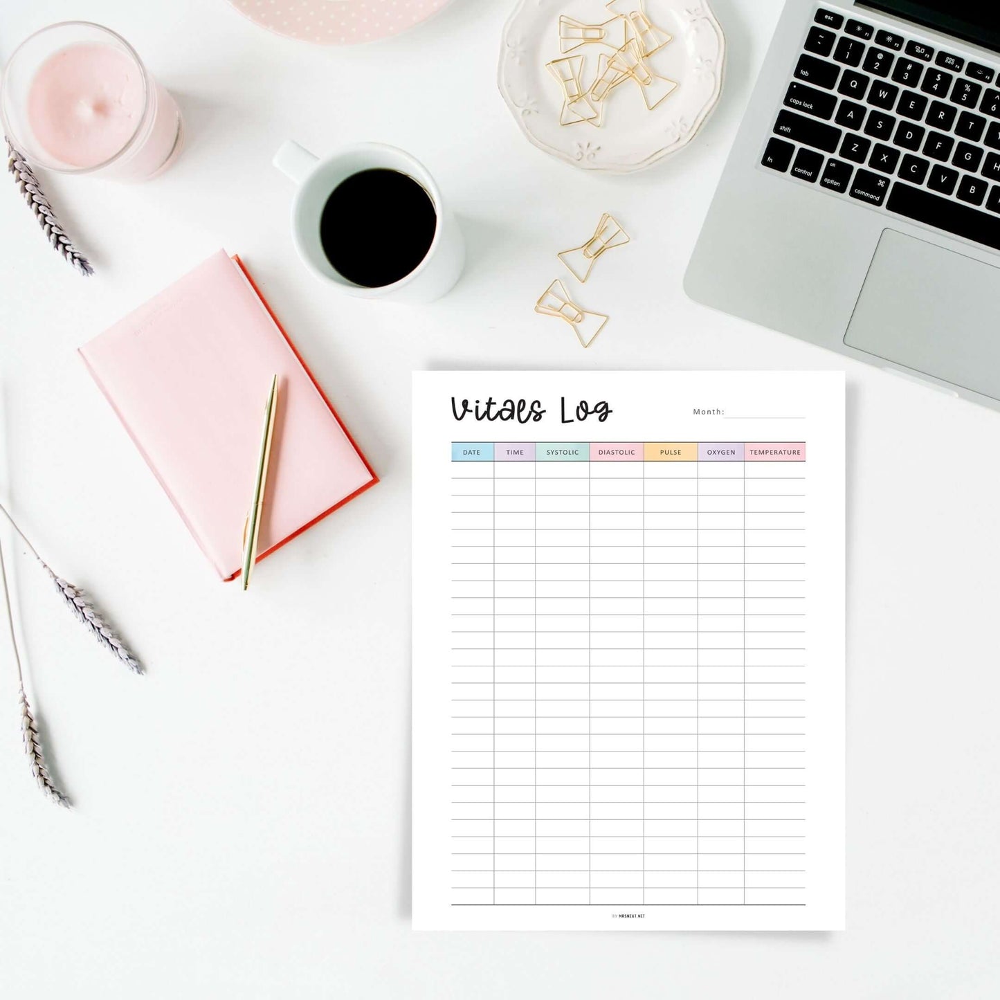Vitals Log Template Printable inserts, vital signs record sheet pdf, 2 colors