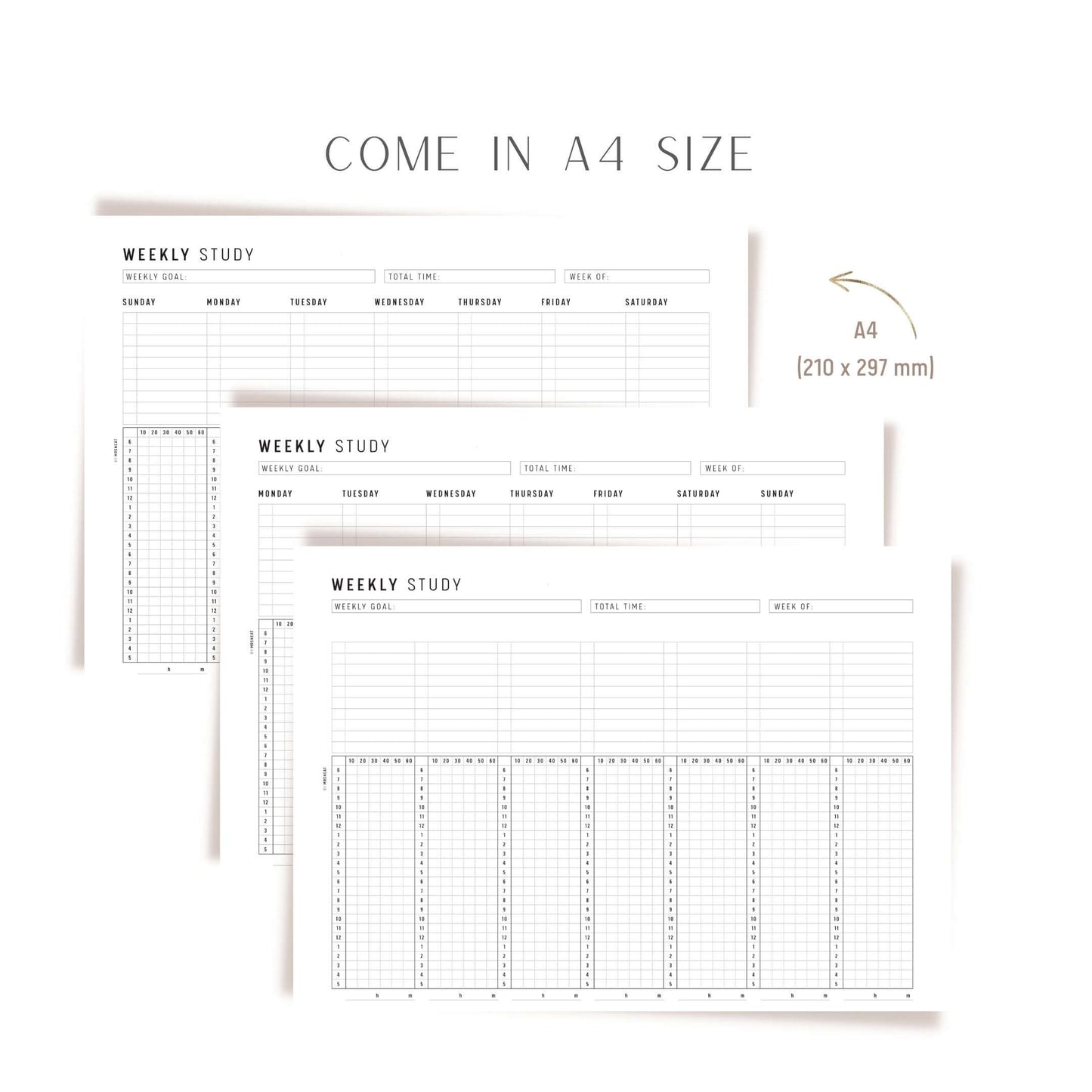 Weekly Study Tracker Template