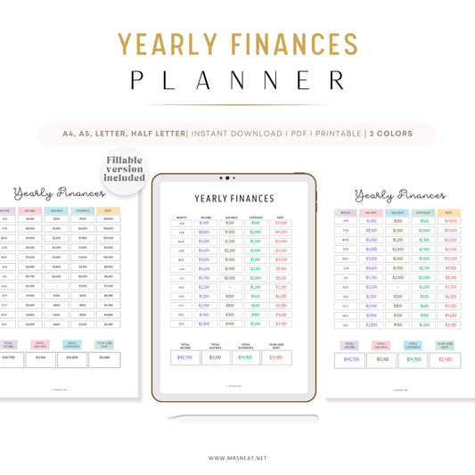 Fillable Yearly Finance Tracker, Yearly Finances Template, Yearly Income Tracker, Finance Tracker, Expense Tracker, Money Tracker, 2 Colors