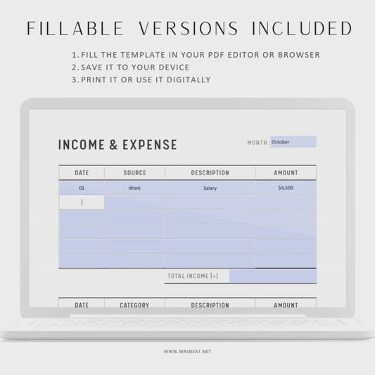 Income and Expense Tracker - M095
