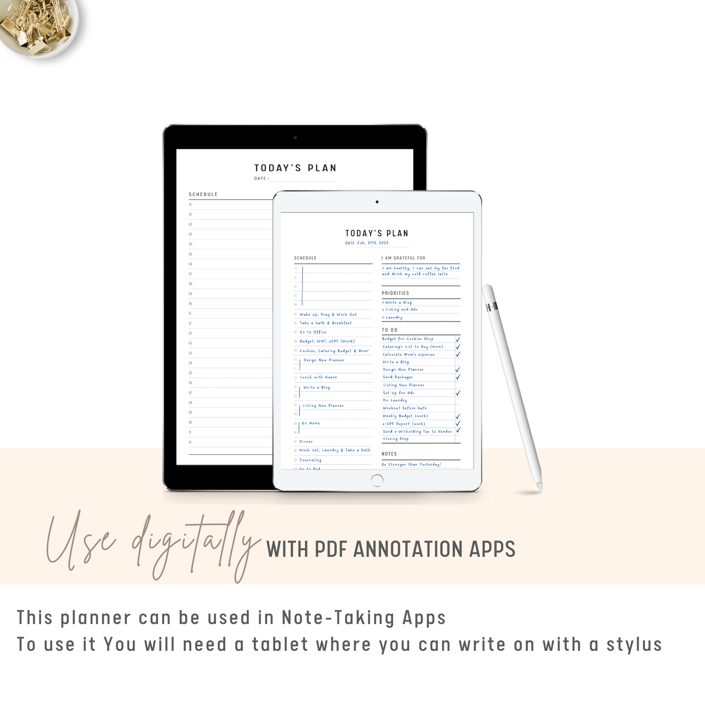 24 Hour Daily Planner used Digitally with Tablet and Stylus
