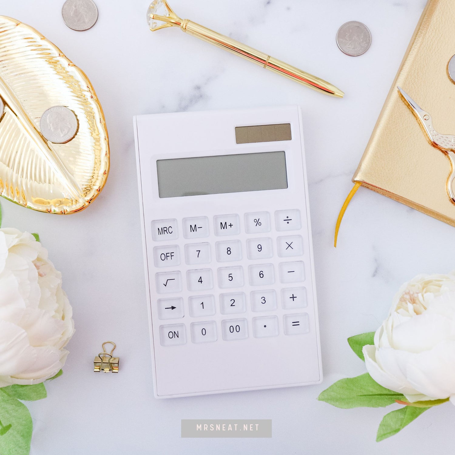 Master Your Finances: A Comprehensive Guide – mrsneat