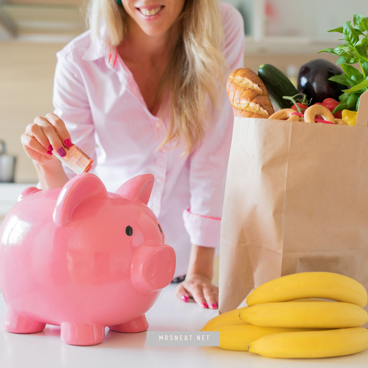 How to Save $20,000 using Printable Bi-Weekly Money Saving Challenge ...