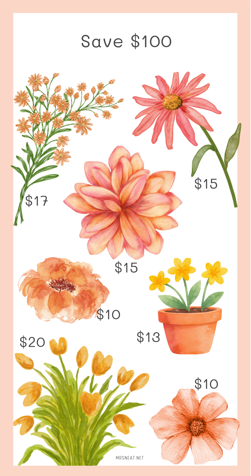 Illustrations of flowers with price tags on a pink background