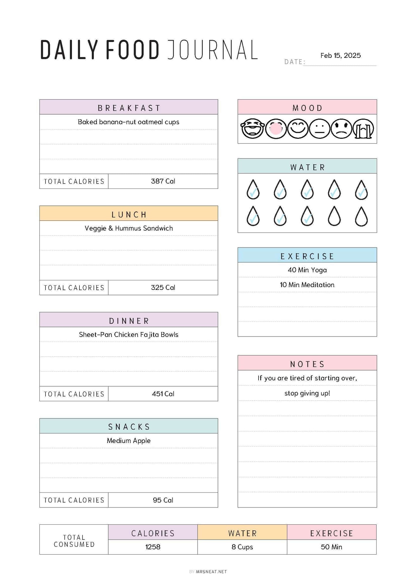 Example of Daily Food Journal Printable, 2 Color Options, Digital Planner, Editable PDF, Fillable PDF