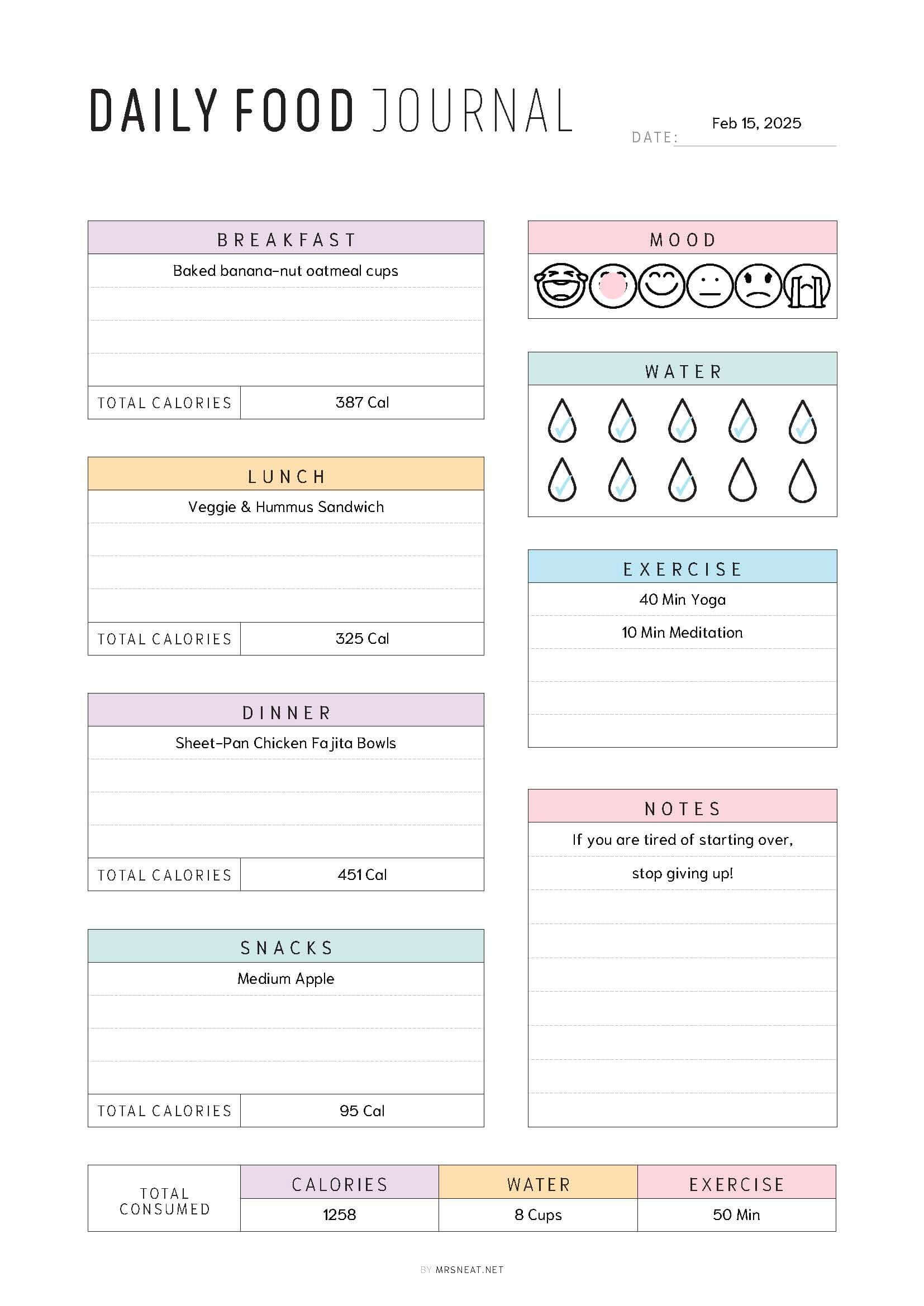 Example of Daily Food Journal Printable, 2 Color Options, Digital Planner, Editable PDF, Fillable PDF