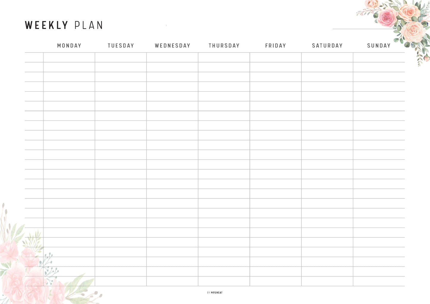 Hourly Weekly Schedule Landscape, Printable Weekly Planner, Week At a Glance, Weekly Agenda, Desk Planner, Weekly To Do List,