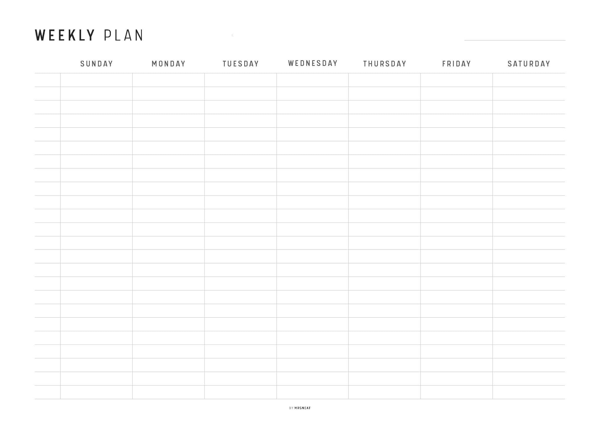 Hourly Weekly Schedule Landscape, Printable Weekly Planner, Week At a Glance, Weekly Agenda, Desk Planner, Weekly To Do List,