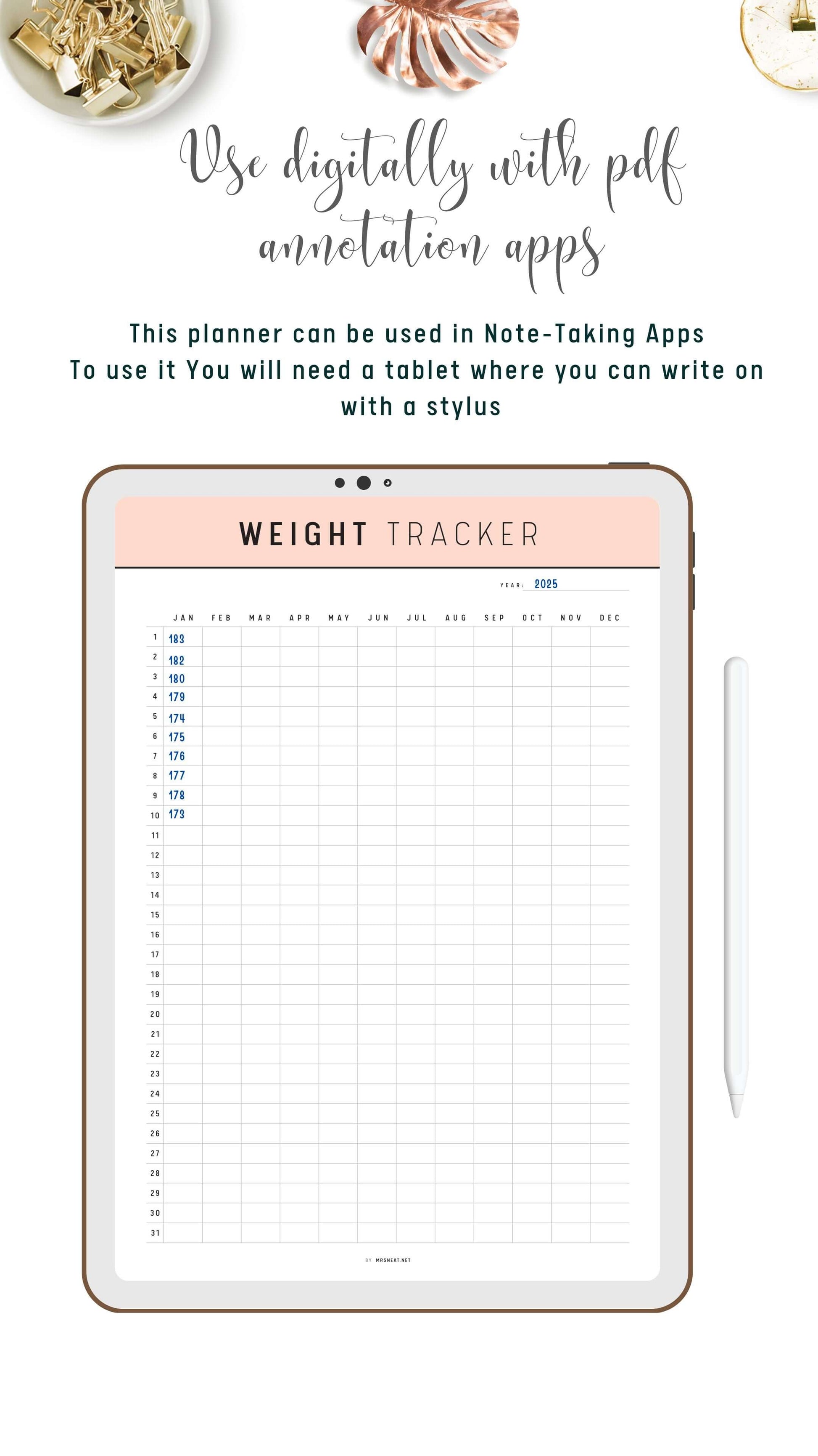 Digital 365 Day Weight Loss Tracker Template