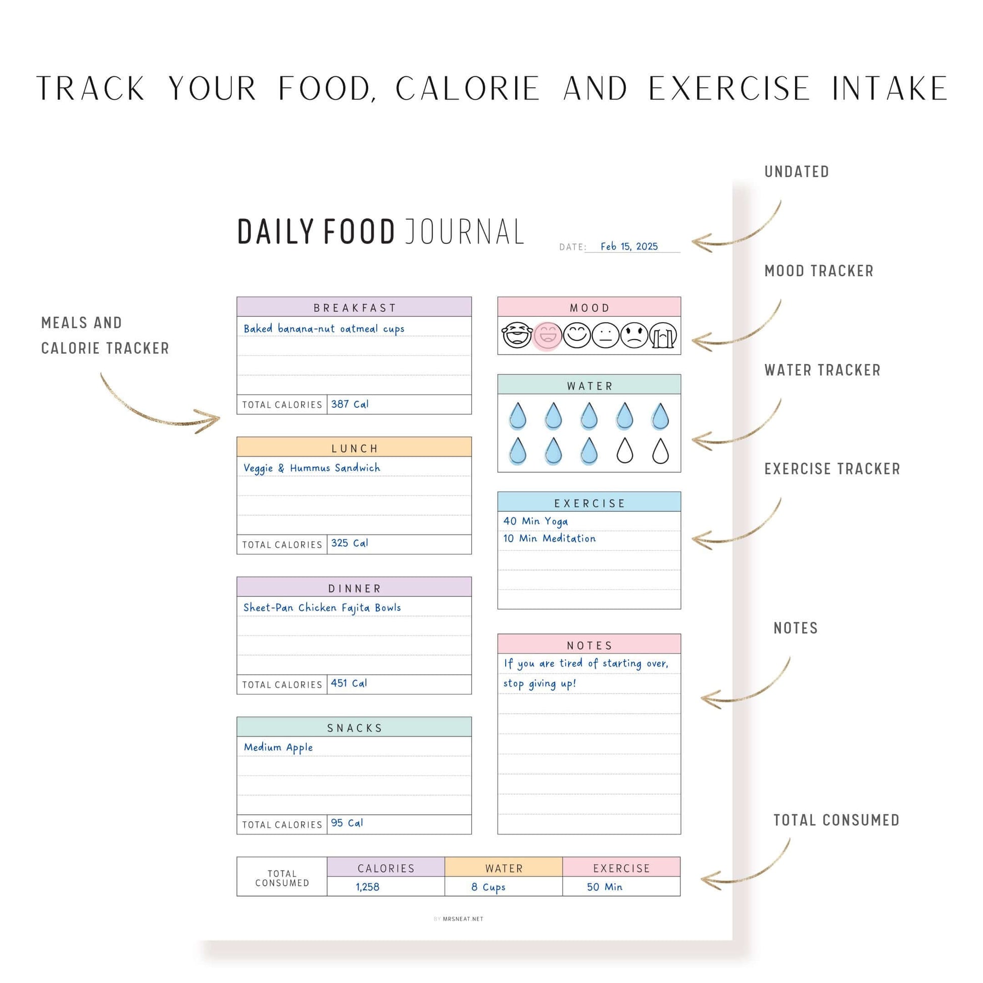 Colorful and How to use Daily Food Journal Printable, 2 Color Options, Digital Planner, Editable PDF, Fillable PDF