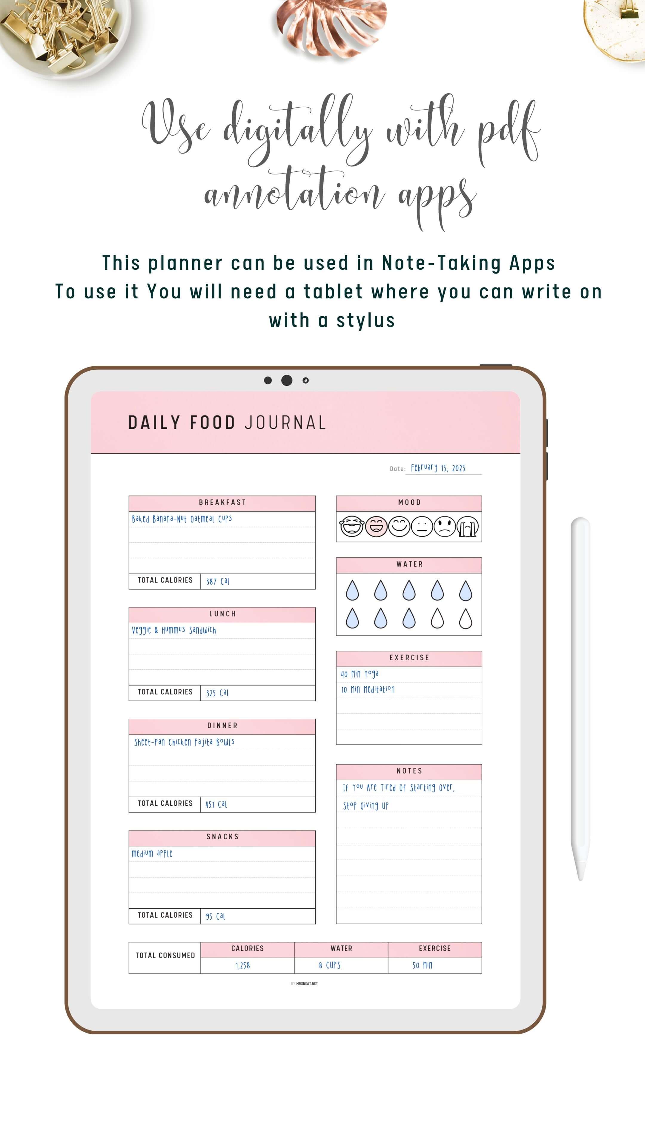 Food Journal Assignment Why Digital