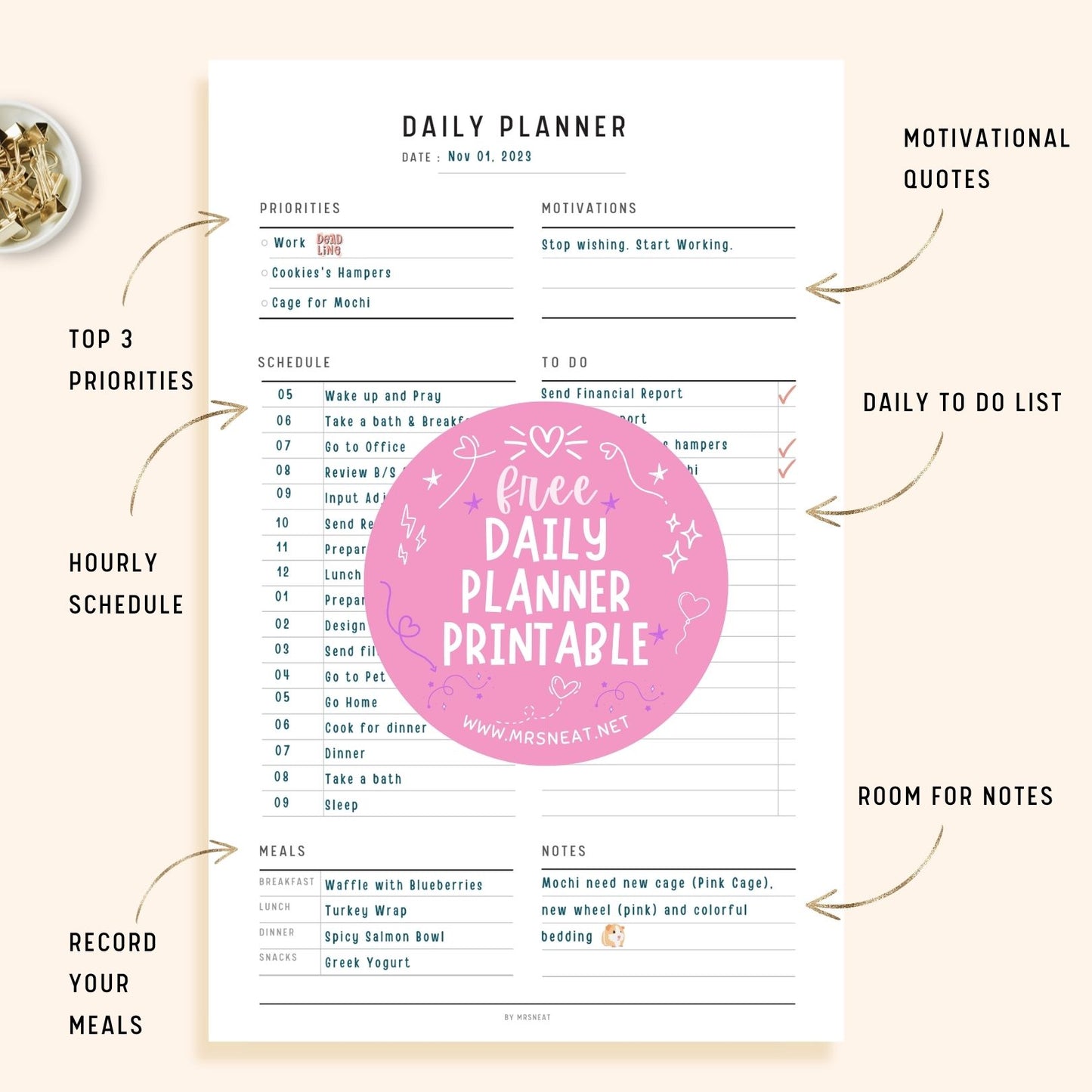 Free Editable Daily Planner Template Printable A4 A5 Letter and Half Letter