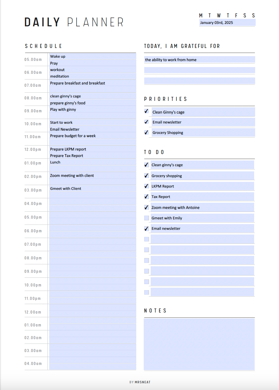 24 Hour Daily Planner Printable, Fillable Hourly Planner, Military Time Plan, Time Blocking Template, Work Day Schedule, 2 versions, PDF, A4, A5, Letter, Half Letter, Digital Planner, PDF Fillable, Printable Planner