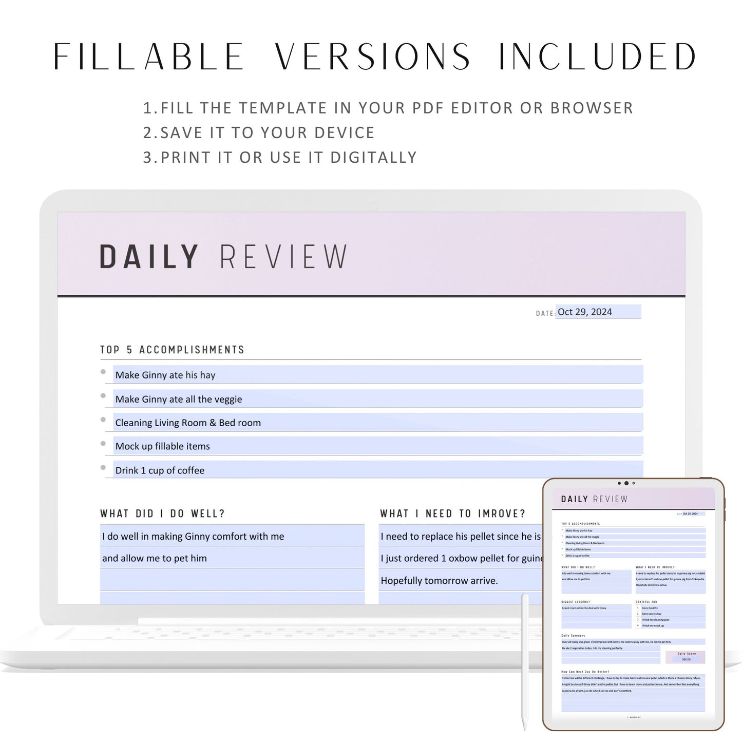 Daily Review Planner Template Printable, A4, A5, Letter, Half Letter, PDF, 6 Colors