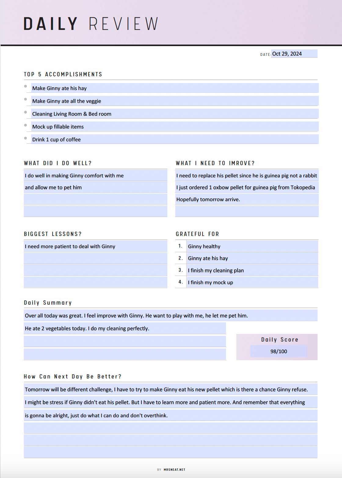 Daily Review Planner Template Printable, A4, A5, Letter, Half Letter, PDF, 6 Colors