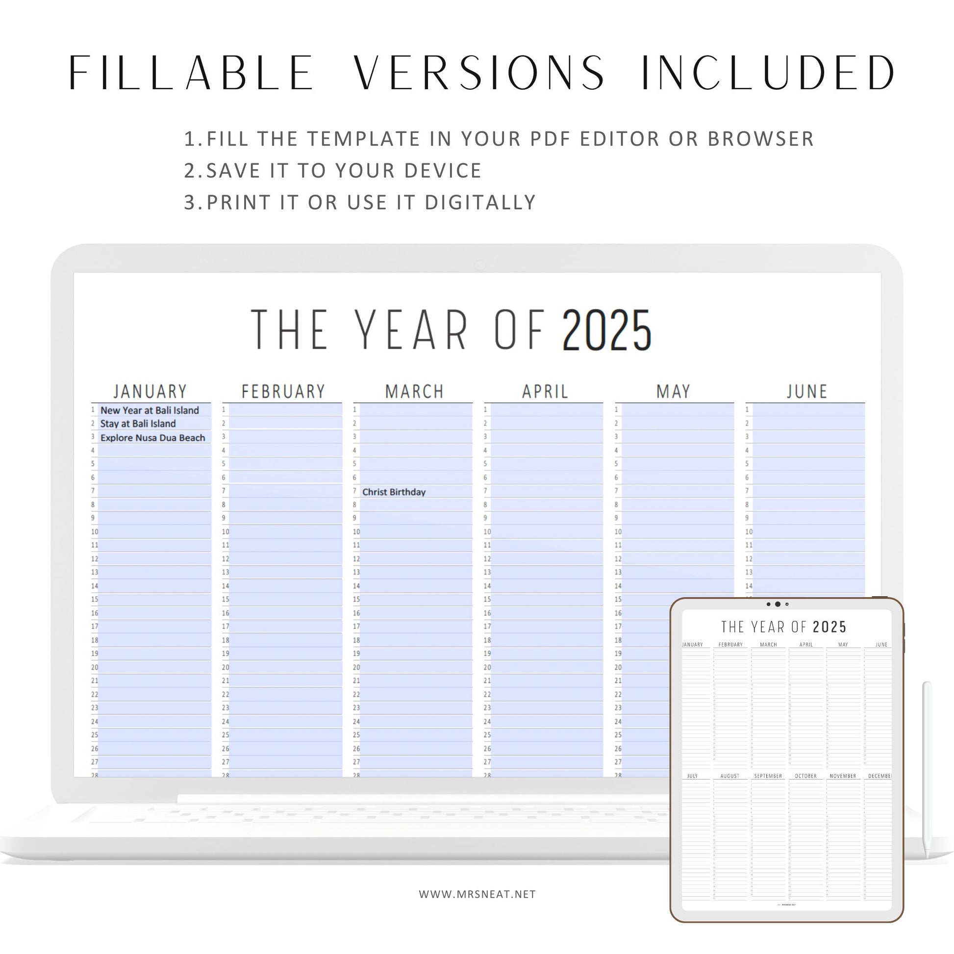 Fillable Year at A Glance, 2025 Yearly Plan on One Page, Printable Calendar, Yearly Planner, Yearly Overview, Annual Overview, 3 versions