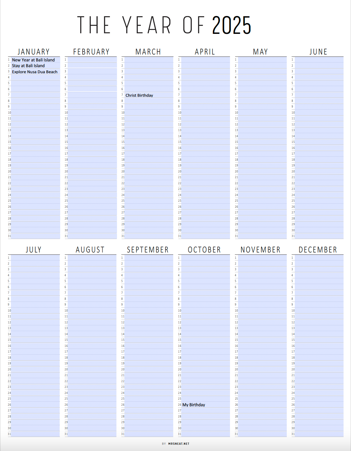 Fillable Year at A Glance, 2025 Yearly Plan on One Page, Printable Calendar, Yearly Planner, Yearly Overview, Annual Overview, 3 versions