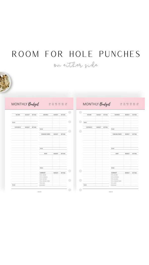 Monthly Budget Tracker Template mrsneat