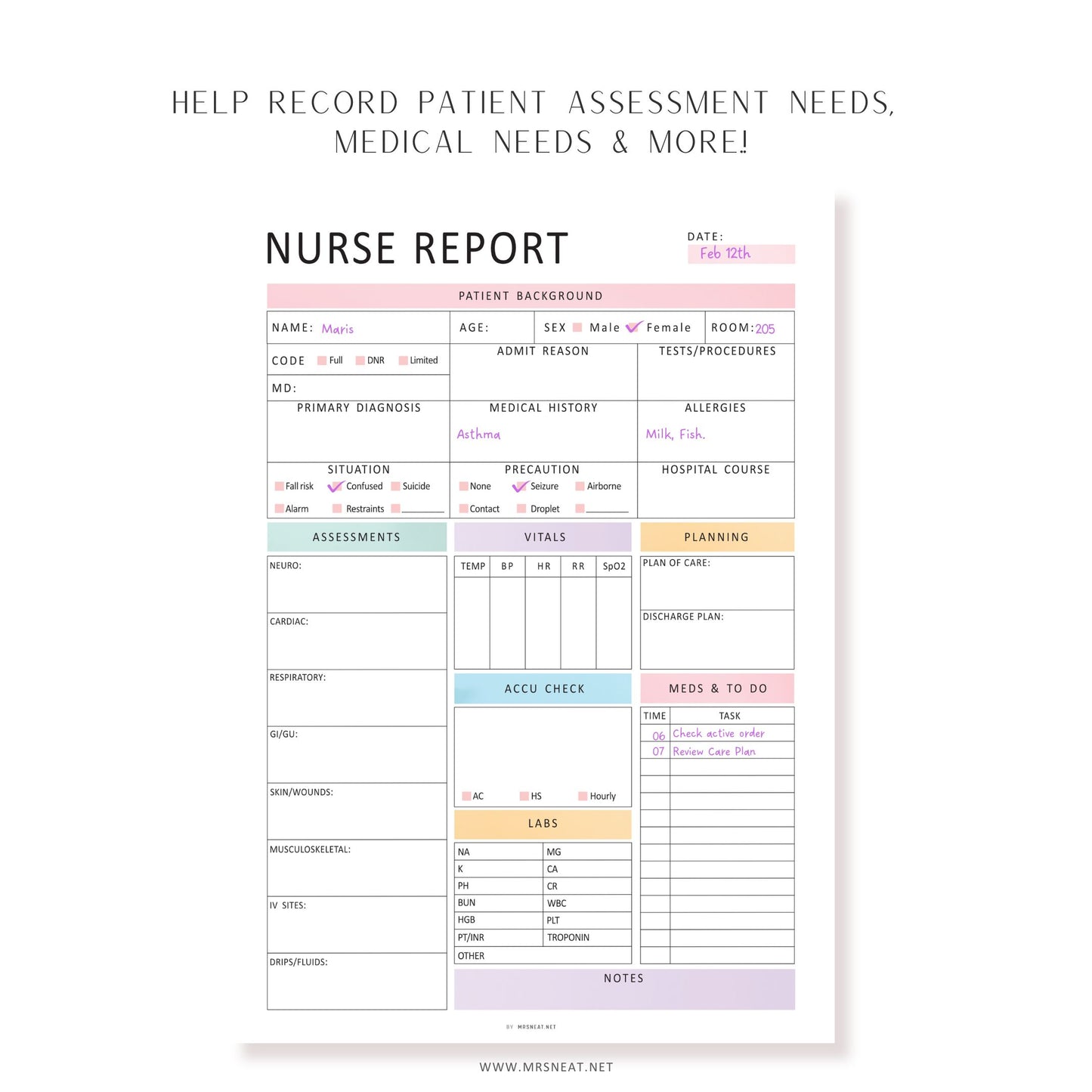 Editable Nurse Report Sheet, Printable, Digital, Nurse Brain Sheet, Single Patient Reporting Template, Nurses Resources, Med Surg, Nurse Report Template Printable, A4, A5, Letter, Half Letter, 2 colors, Fillable PDF