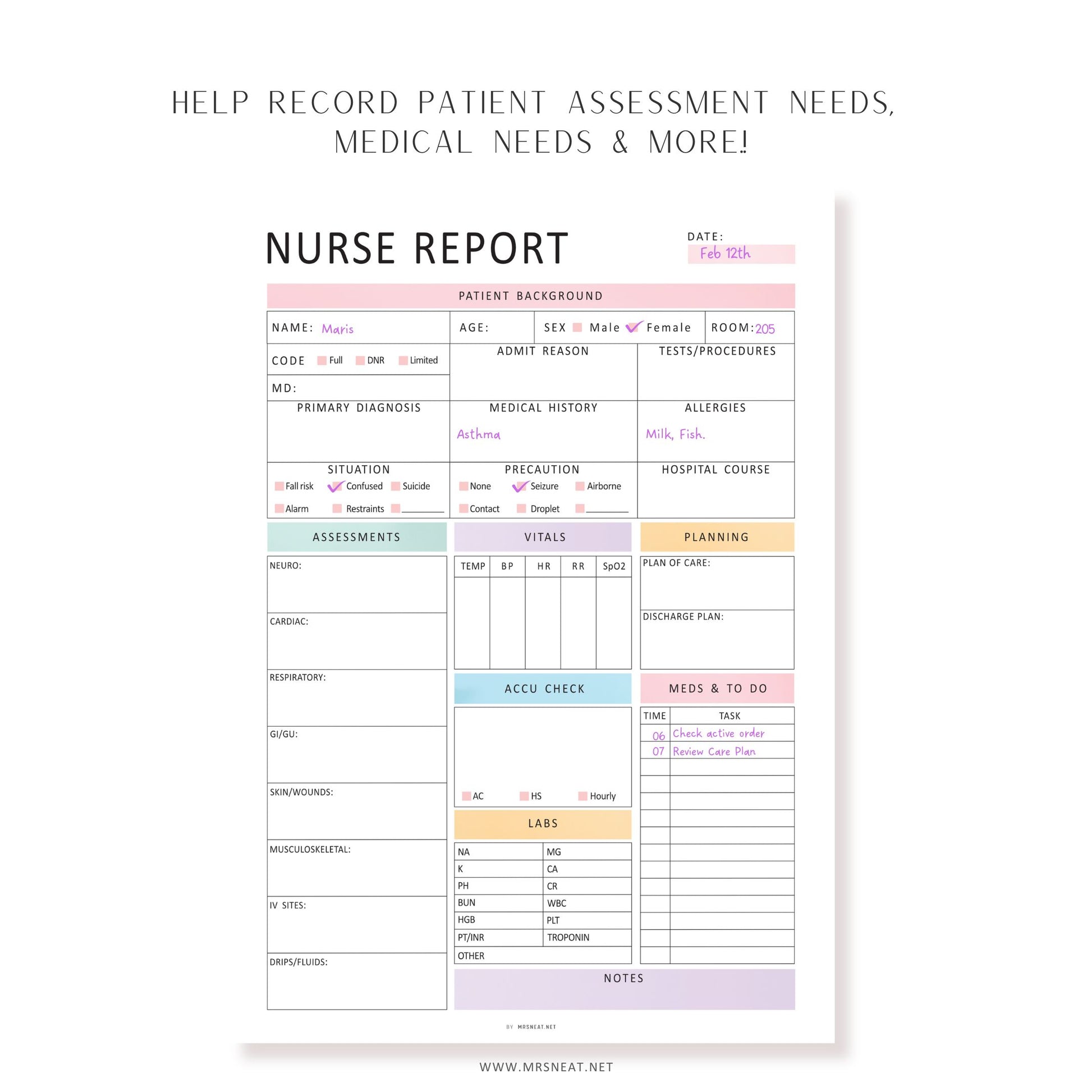 Editable Nurse Report Sheet, Printable, Digital, Nurse Brain Sheet, Single Patient Reporting Template, Nurses Resources, Med Surg, Nurse Report Template Printable, A4, A5, Letter, Half Letter, 2 colors, Fillable PDF