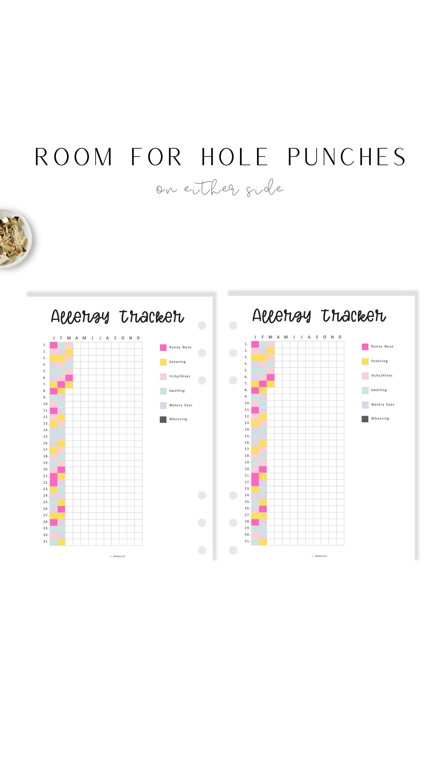 One Year Allergy Tracker Template Printable
