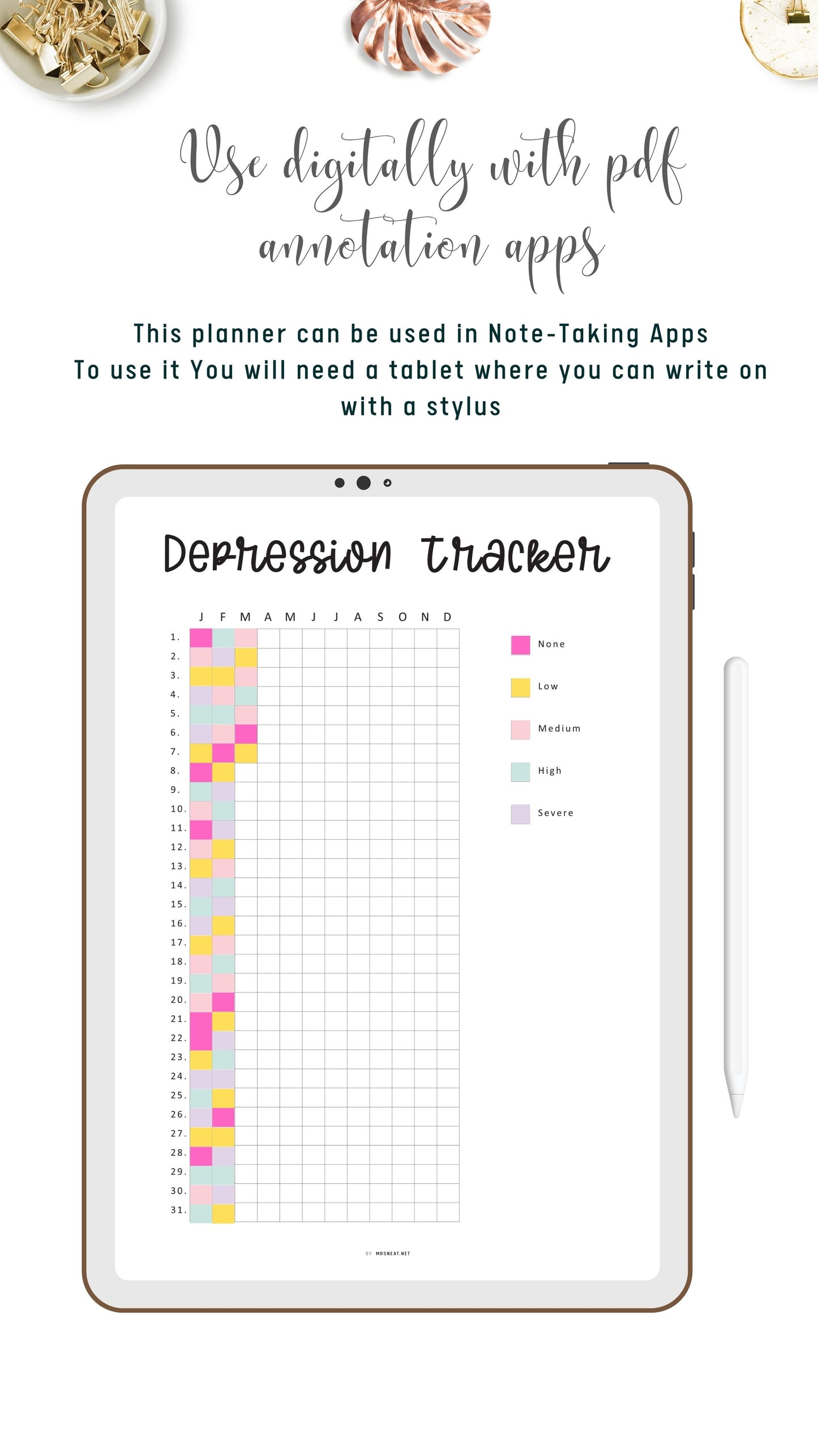 Digital One Year Depression Tracker Template PDF