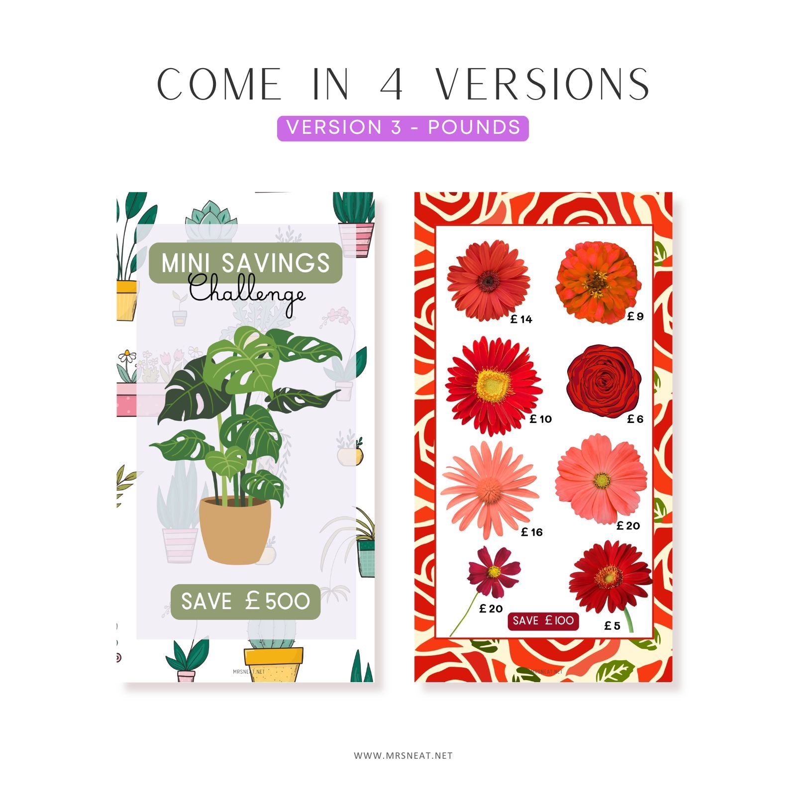 Two product packages, one with plants and the other with flowers, on a white background.