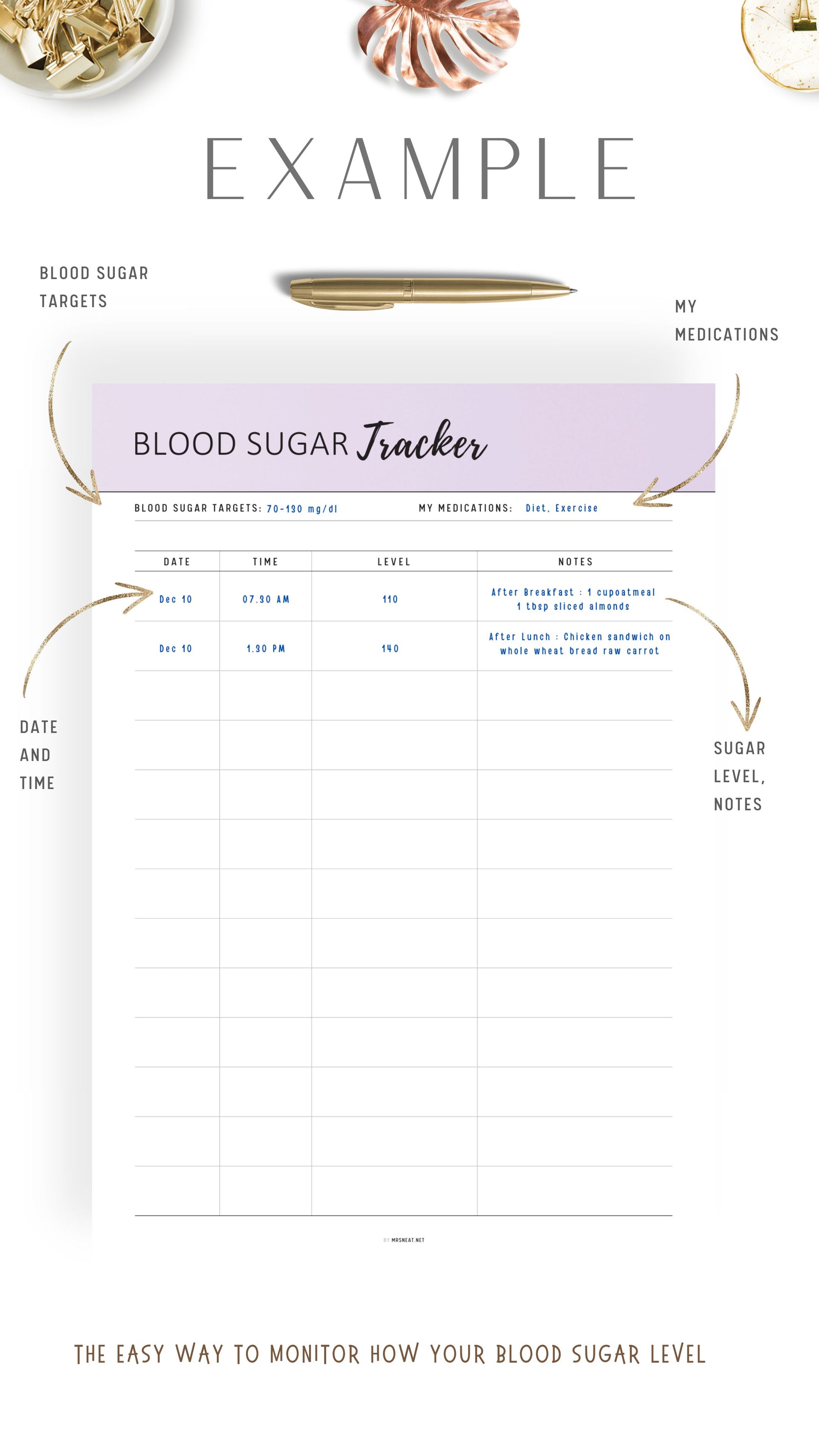 How to use Printable Blood Sugar Tracker Template