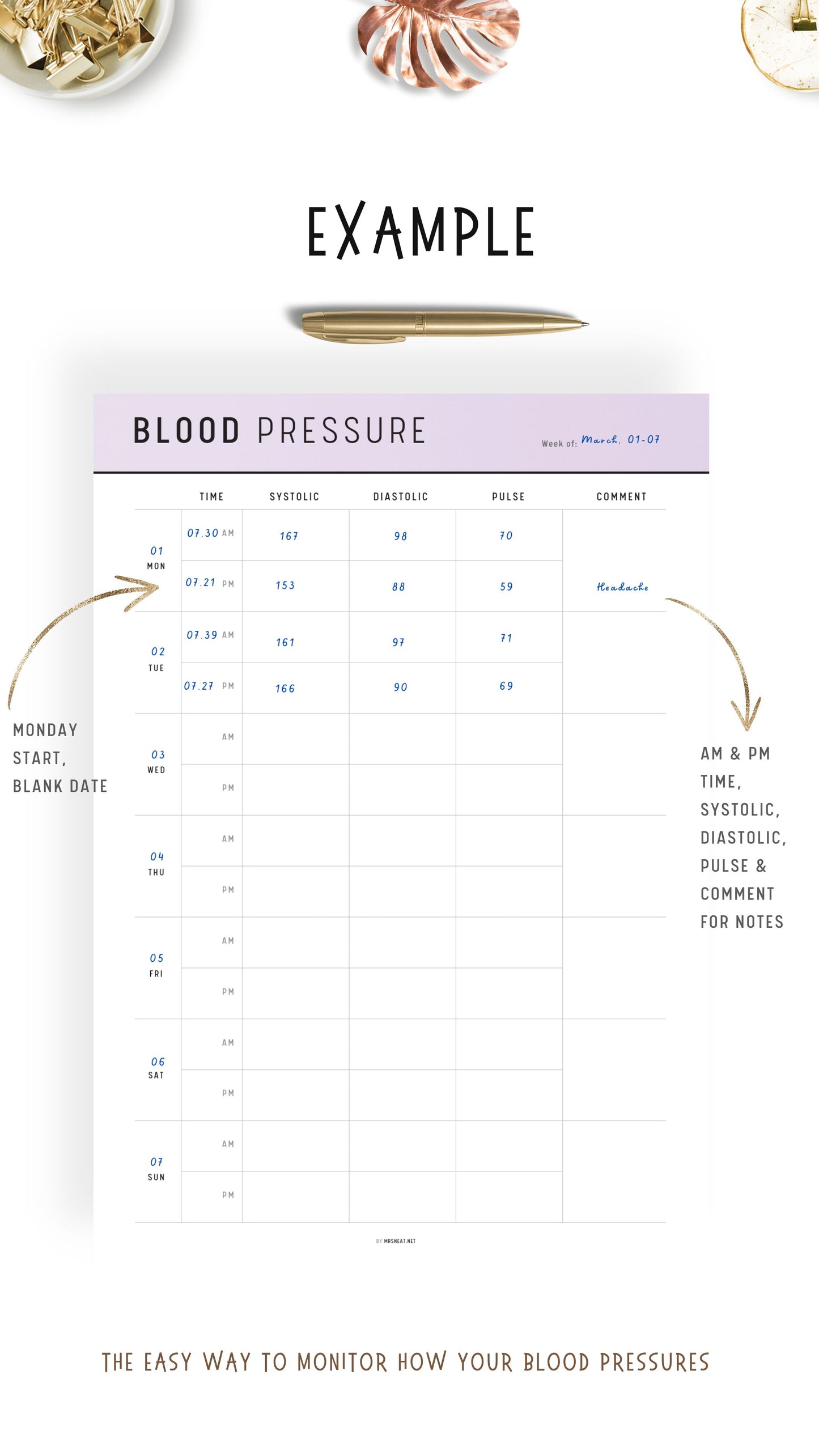 Example Daily Blood Pressure Log Printable