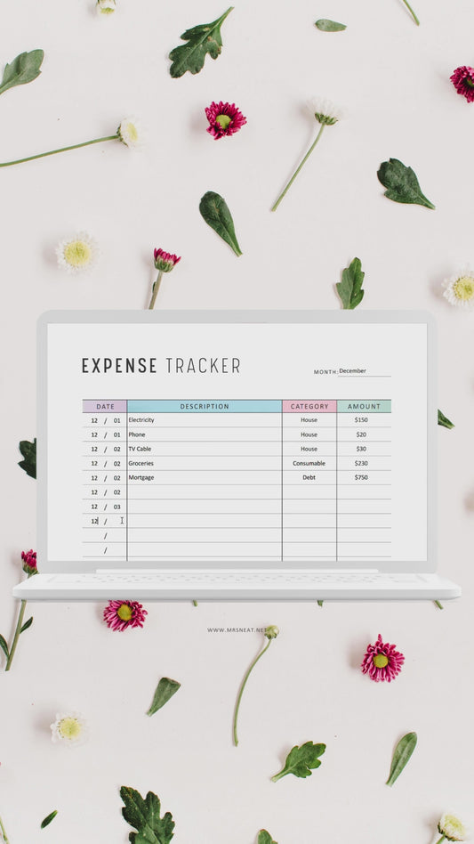 Expense Tracker Printable, Colorful and Minimalist, A4, A5, Letter, Half Letter, Digital Planner