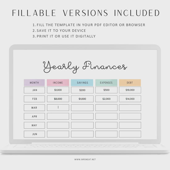 Fillable Yearly Finance Tracker, Yearly Finances Template, Yearly Income Tracker, Finance Tracker, Expense Tracker, Money Tracker, 2 Colors