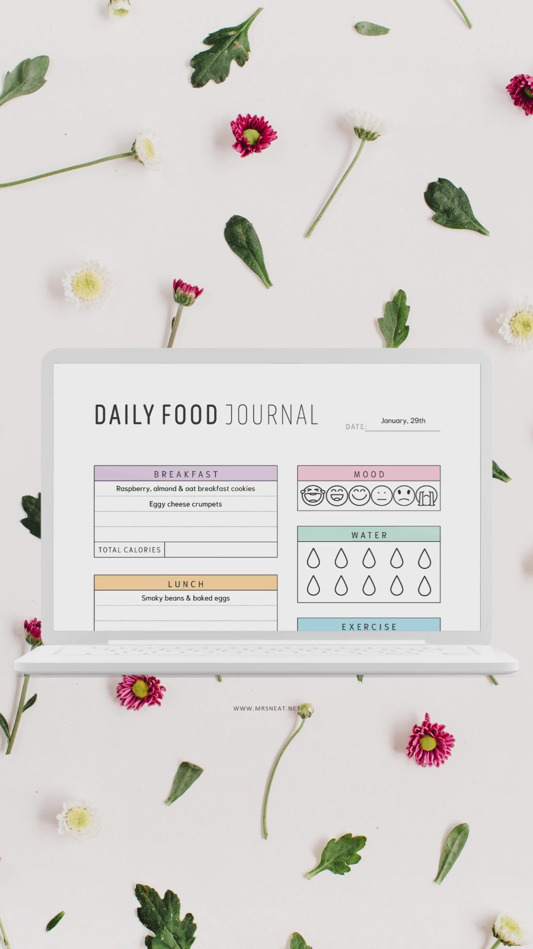 mrsneat · Products · Daily Food Journal Printable - M489 · Shopify