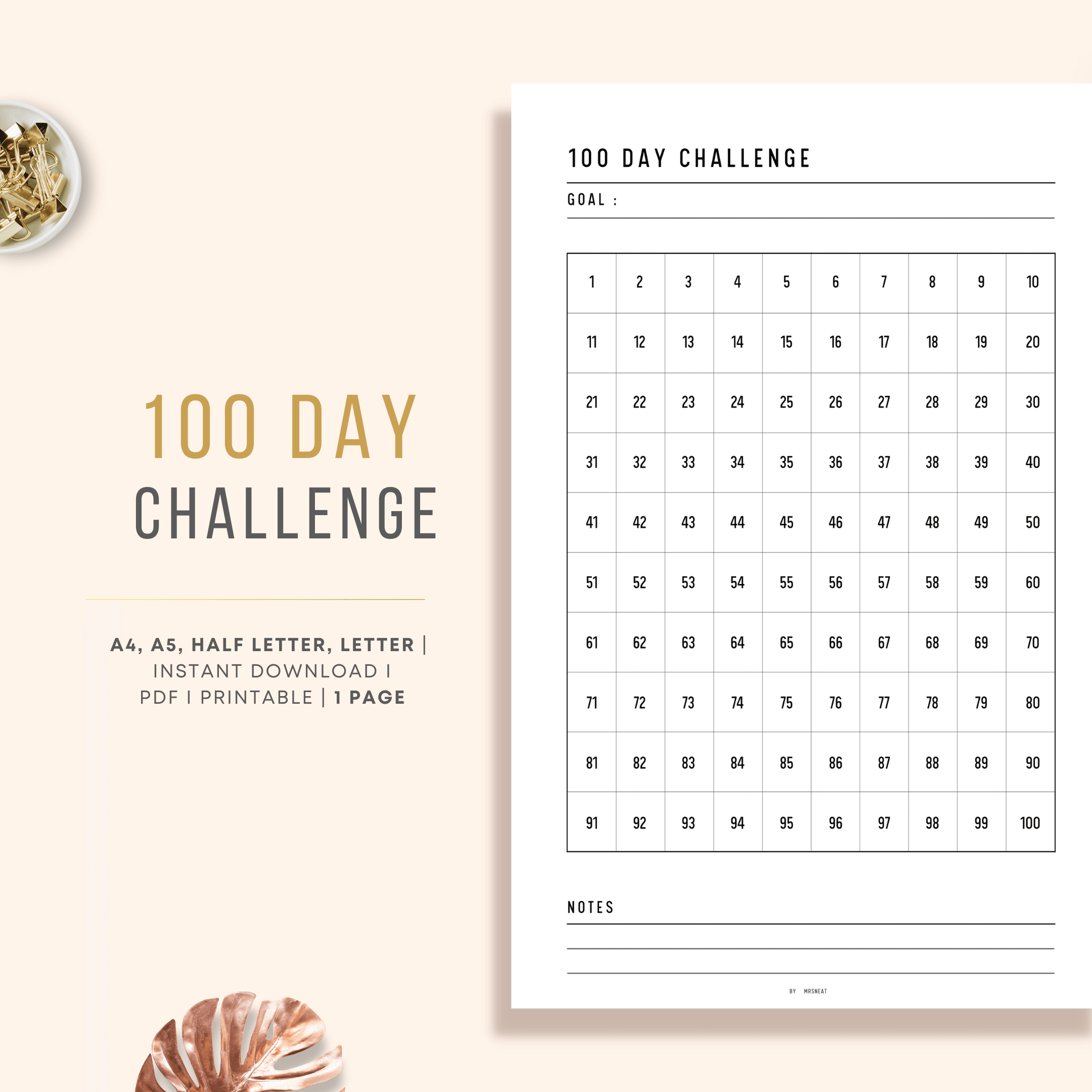 100 Day Challenge Printable – mrsneat