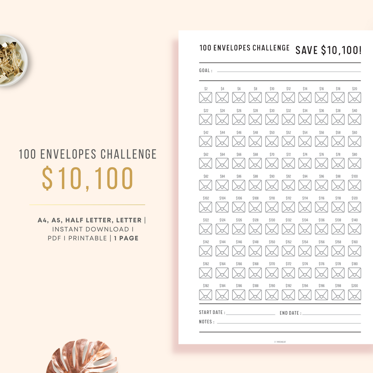 $10,100 in 100 Envelope Challenge Planner with goal, notes, start and finish date